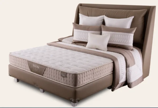 Spring Bed COMFORTA SOLID SPINE